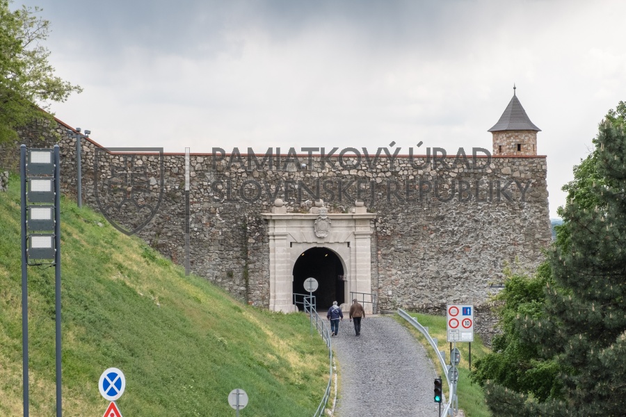 Identifikačná fotografia